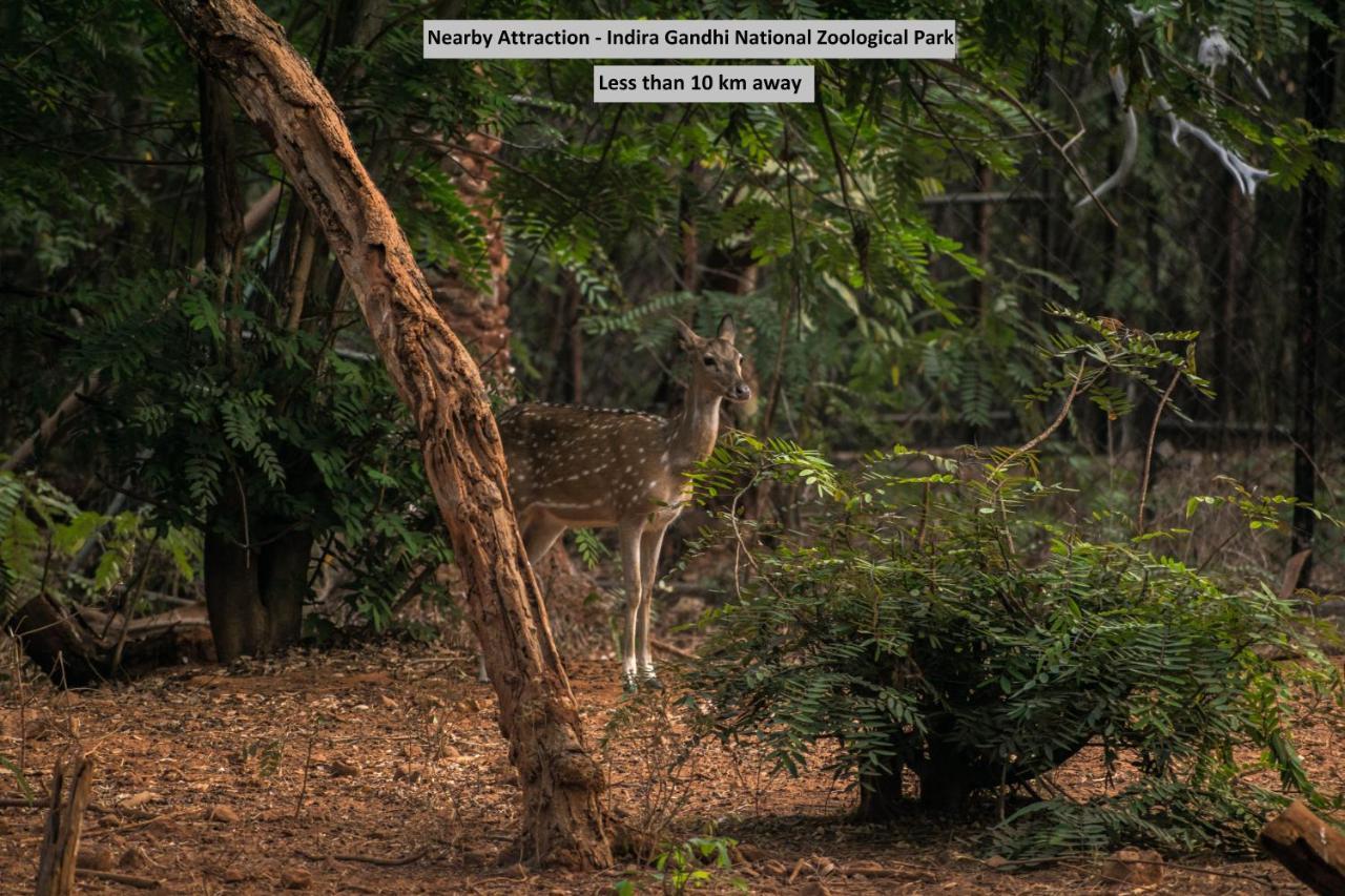 Oyo 8929 Stay Siddhartha Residency Jalaripeta Bagian luar foto